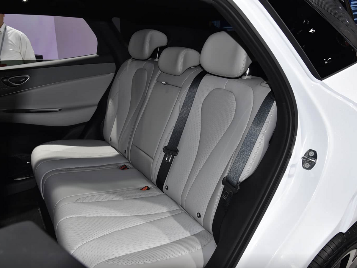 BYD Sea Lion 06